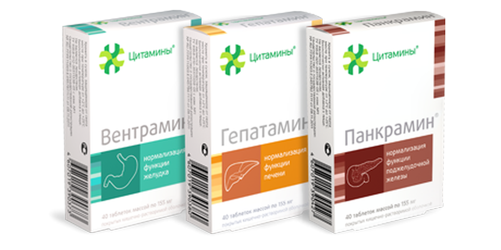 Complex of cytamins for the digestive system buy online