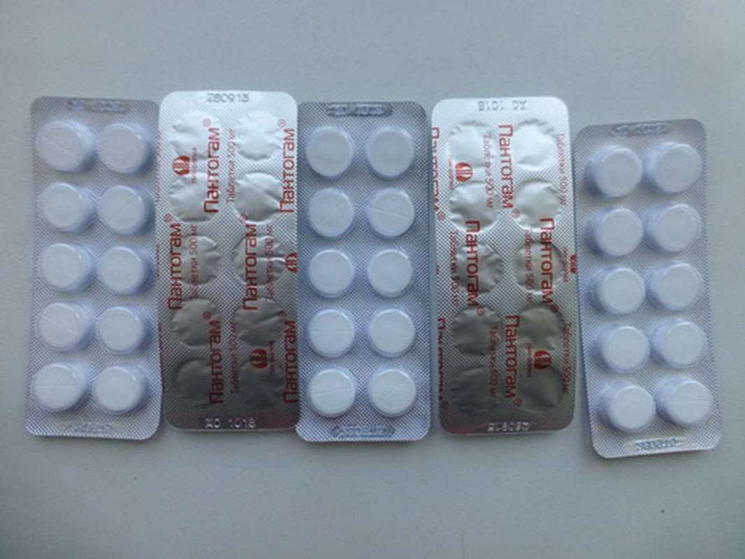 Pantogam 500mg 50 pills buy nootropic agent
