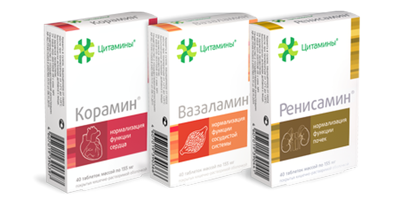 Complex of cytamins for the cardiovascular system buy online